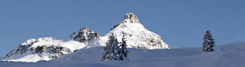Free Image of Snow Mountains and Fir Trees 