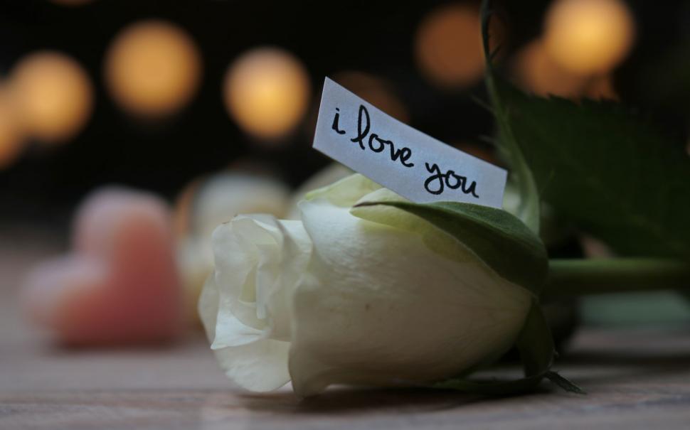 Free Image of White Flower - Love message note 
