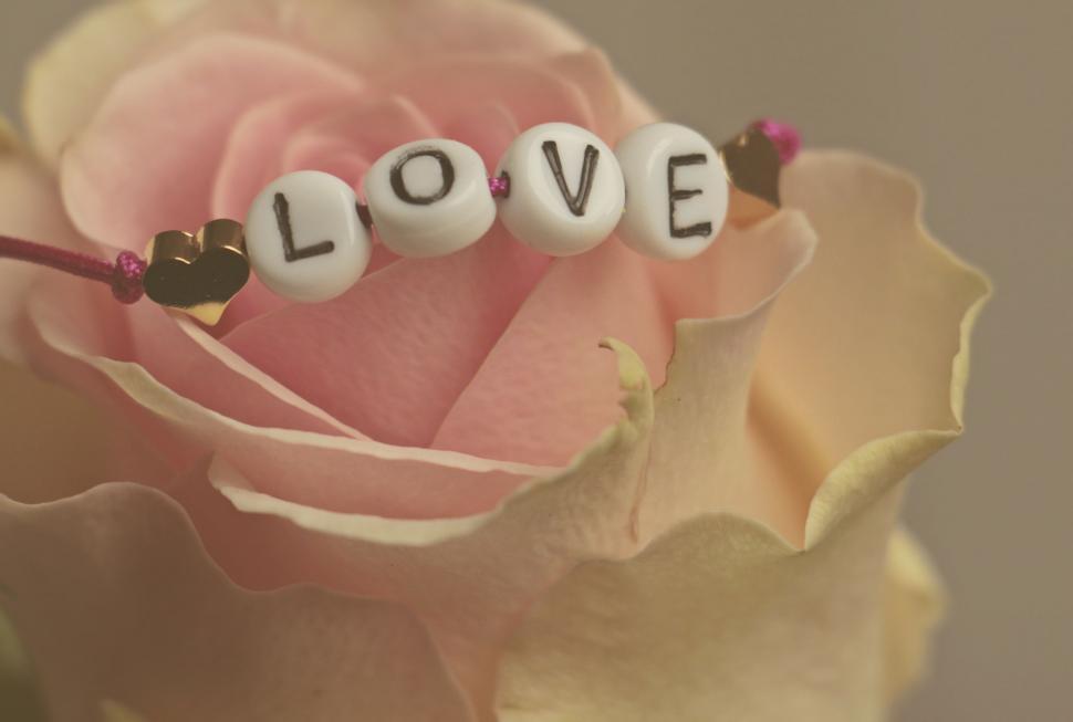 Free Image of Rose Flower and Love Bracelet  