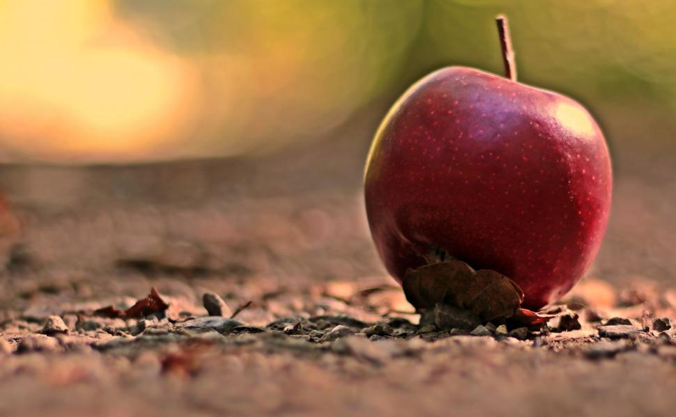 Free Image of Fallen Red Apple and Bokeh Lights  