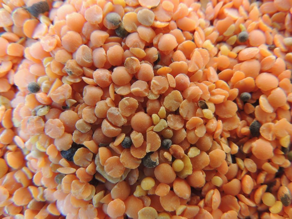 Free Image of Dry Lentils   