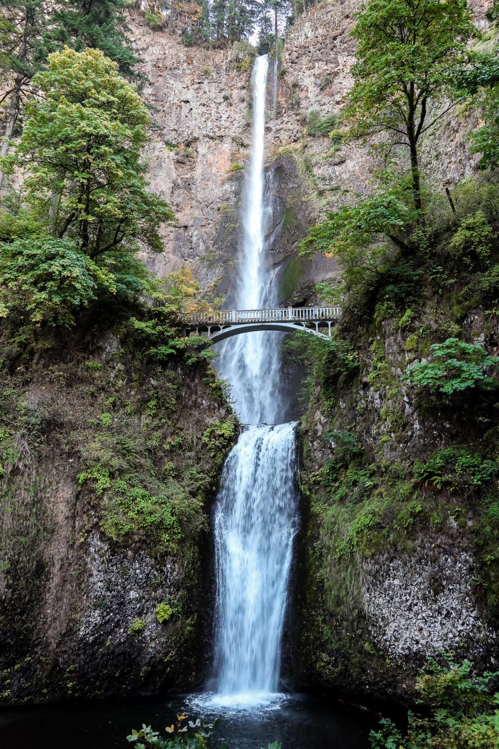 Free Image of Multnomah Falls, Oregon, USA Top to Bottom with Bridge and Pool 