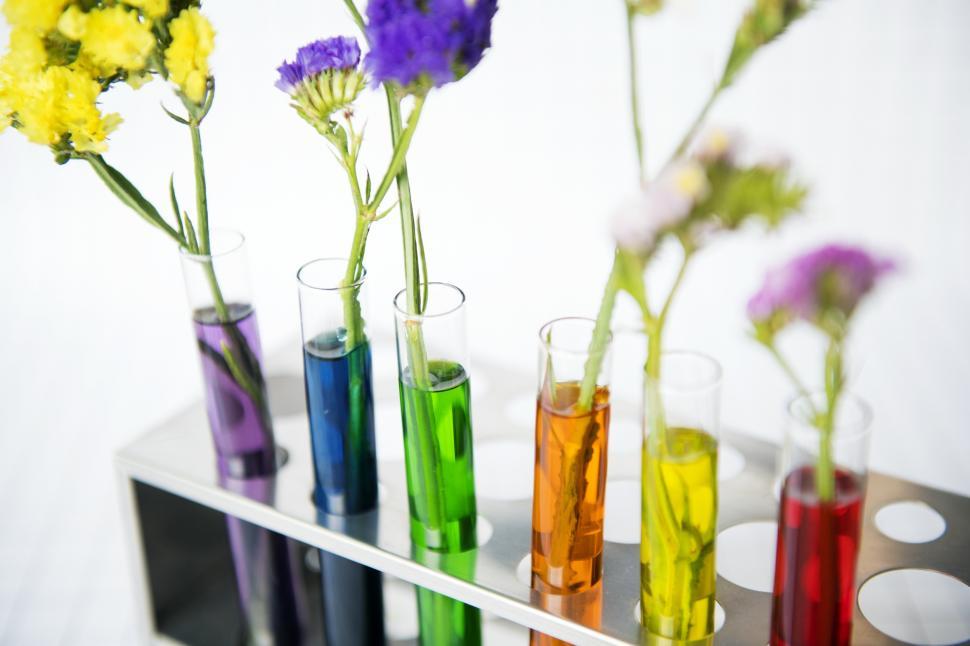 Free Image of Colorful test tube shaped flower vases 