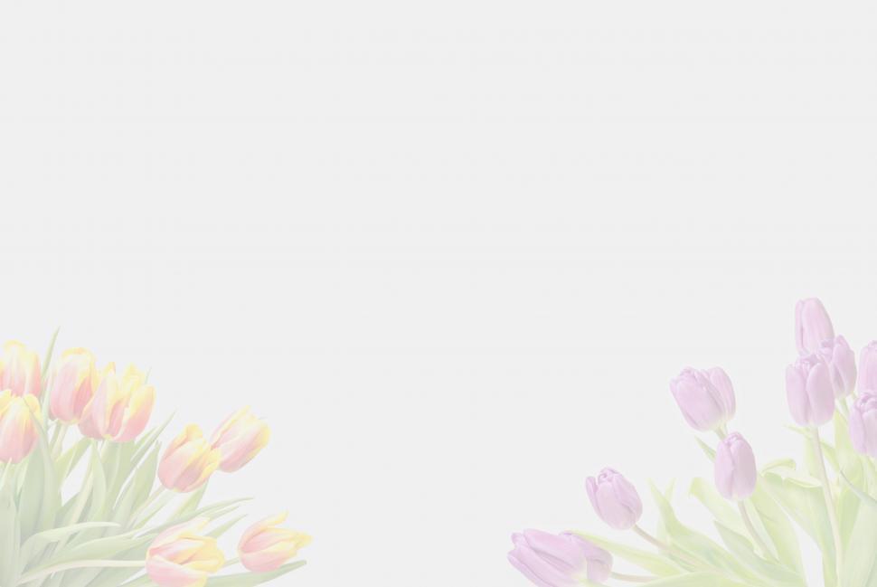 Free Image of Greeting card with tulip flowers on corners 