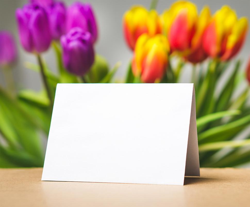 Free Image of Close up of a blank card 