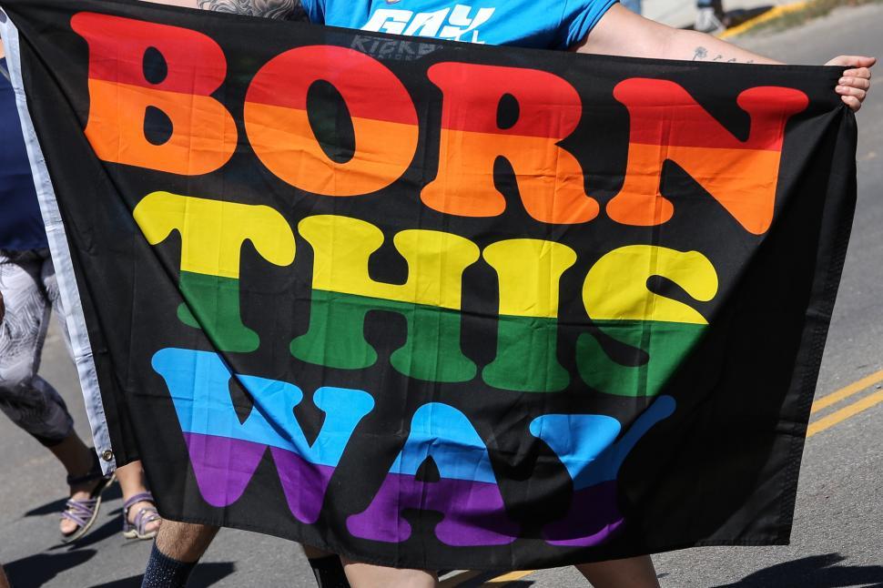 Free Image of Large Born This Way flag in a streen march 
