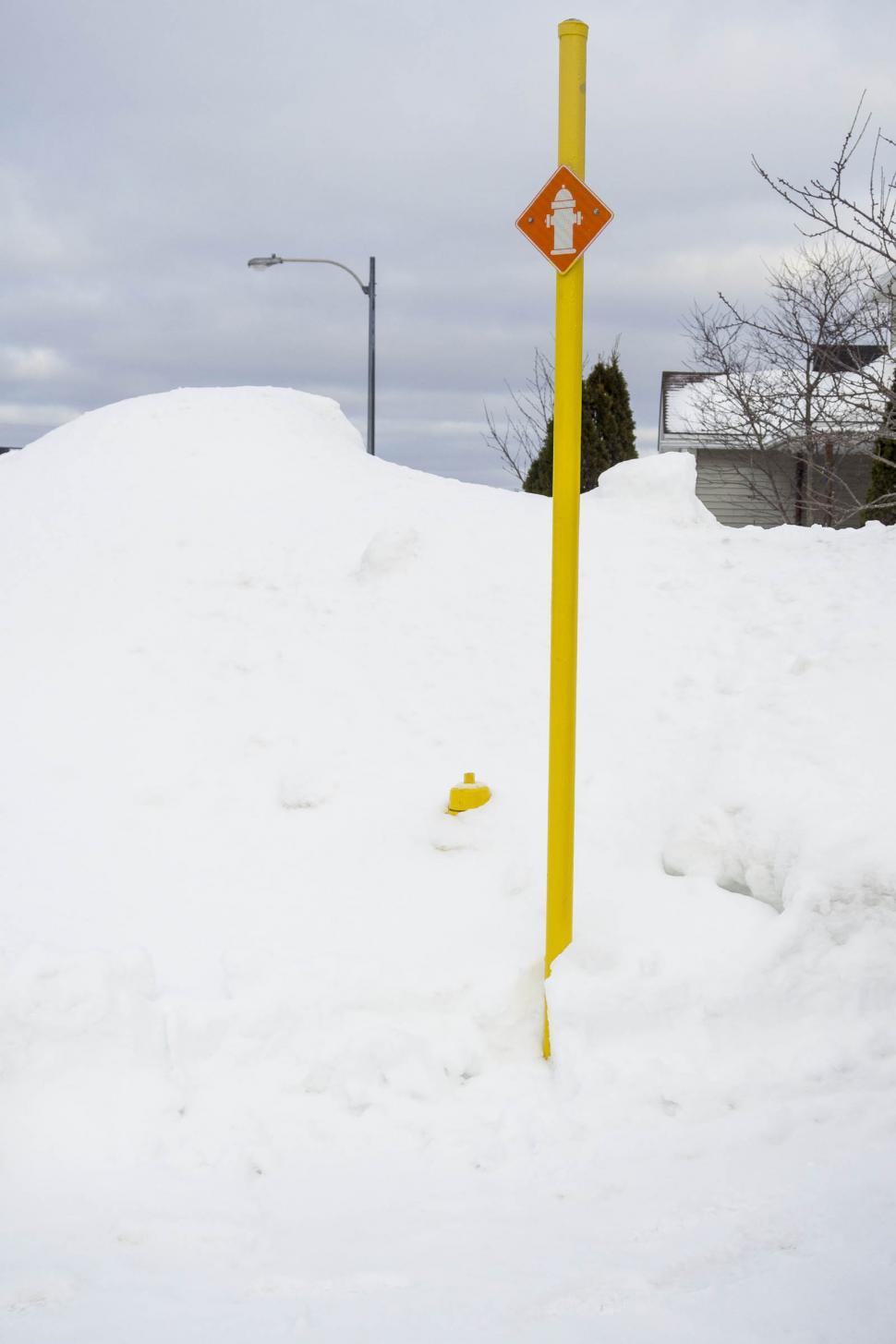 Free Image of Fire hydrant covered in snow 