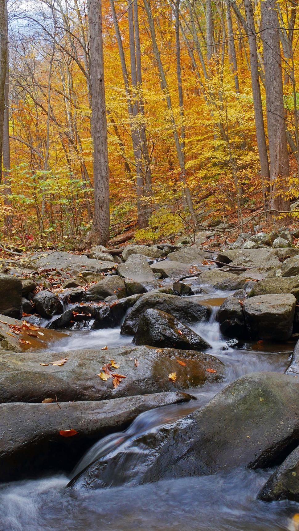 Free Image of Autumn Colors Cascades 