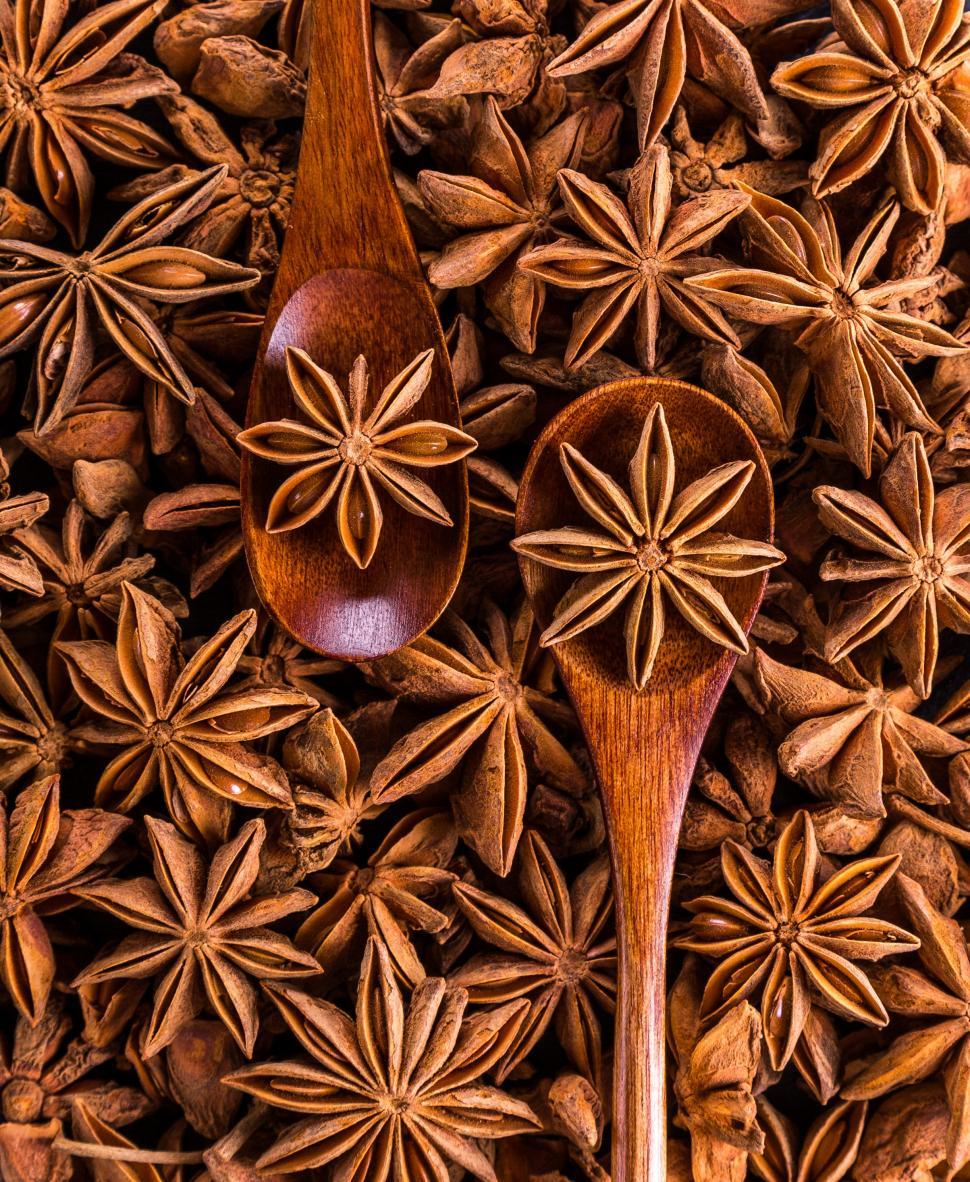 Free Image of Close-up of Star anise 