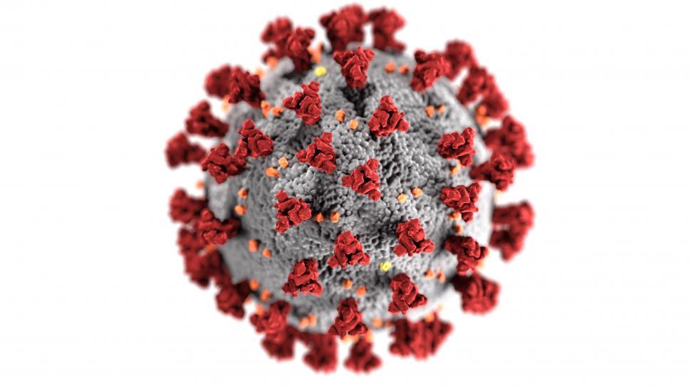 Free Image of COVID-19 Coronavirus Imaging Illustration  