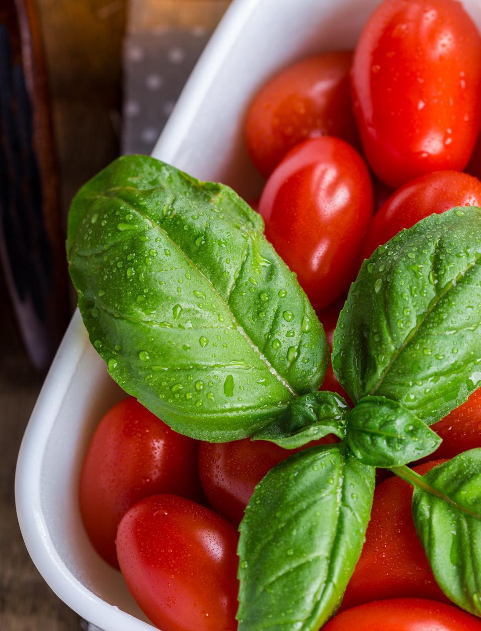 Free Image of Close up of bright red tomatoes and basil leaves 