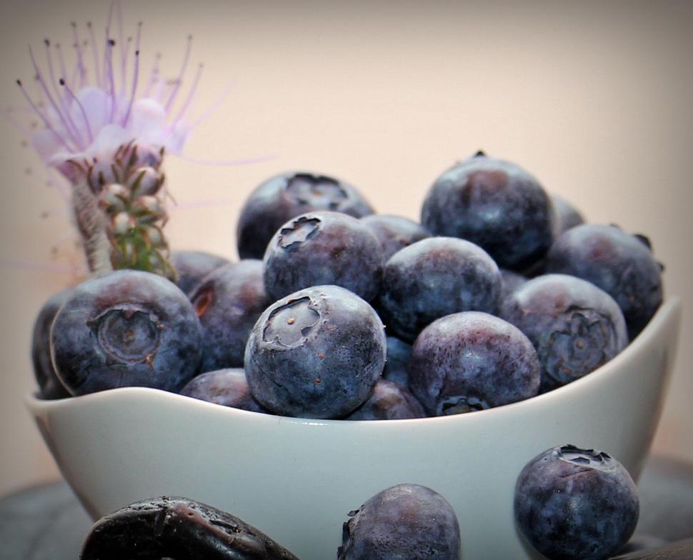 Free Image of Bowl of Fresh Blueberries 