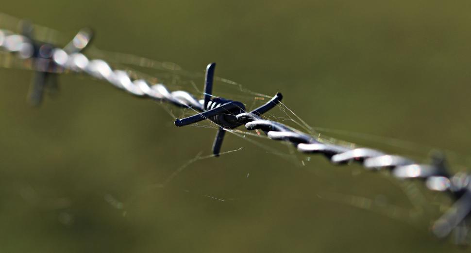 Free Image of Barbed Wire 