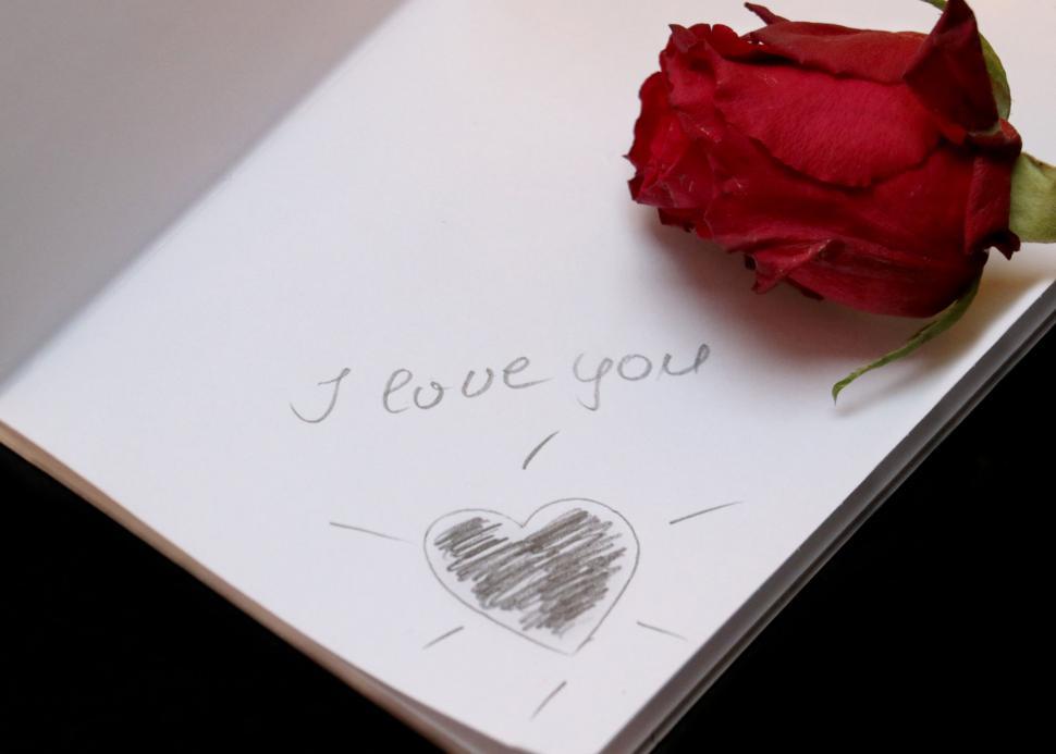 Download Free Stock Photo of I Love you written with Red Rose 