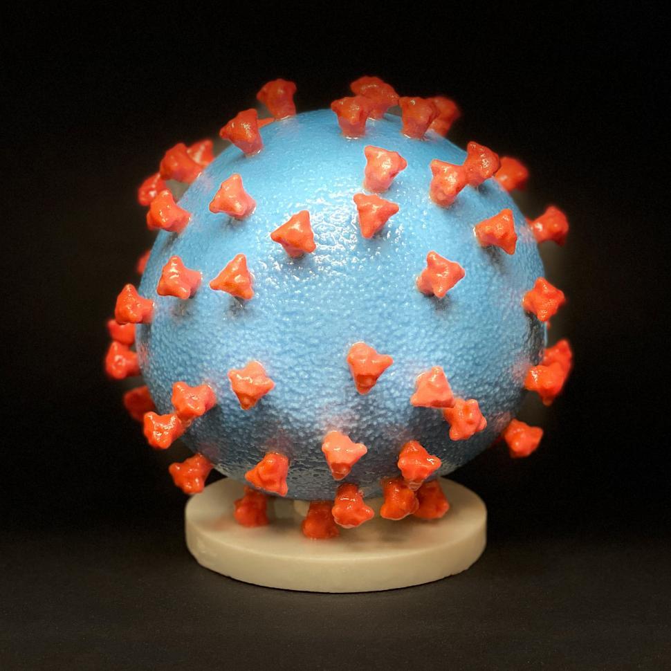 Download Free Stock Photo of Model of Novel Coronavirus SARS-CoV-2 