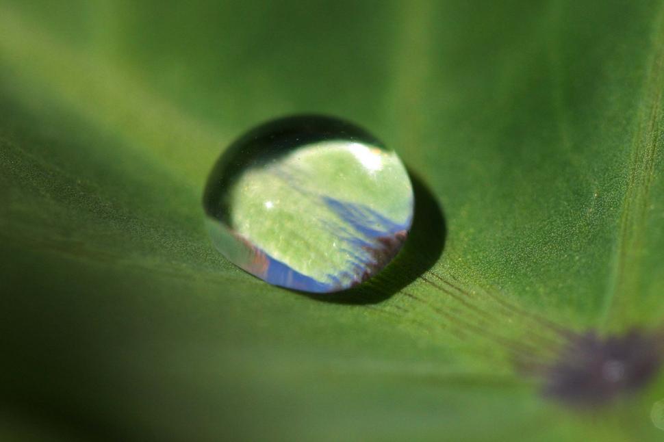 Free Image of Bead of water drop 