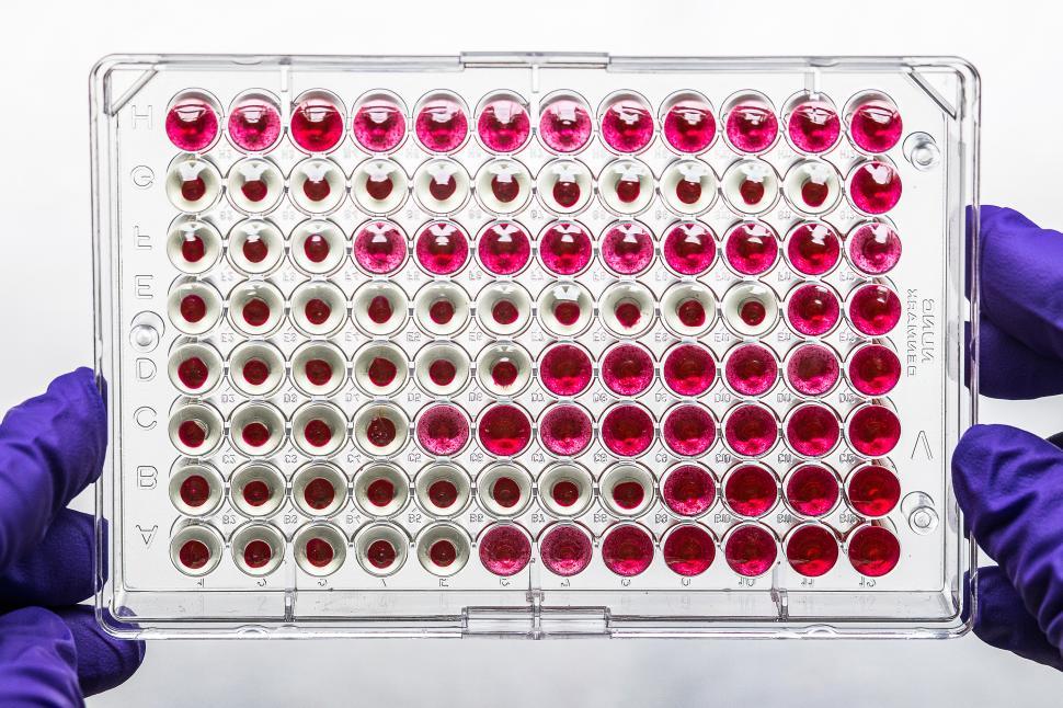 Free Image of Microtiter plate 