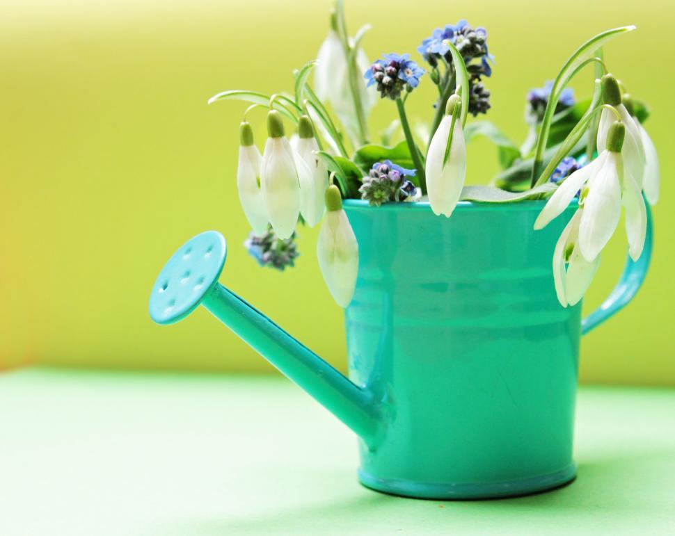 Free Image of Small watering can full of spring flowers 