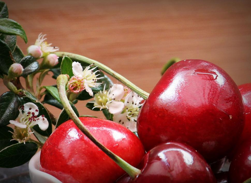 Free Image of Closeup of cherries and blooms 