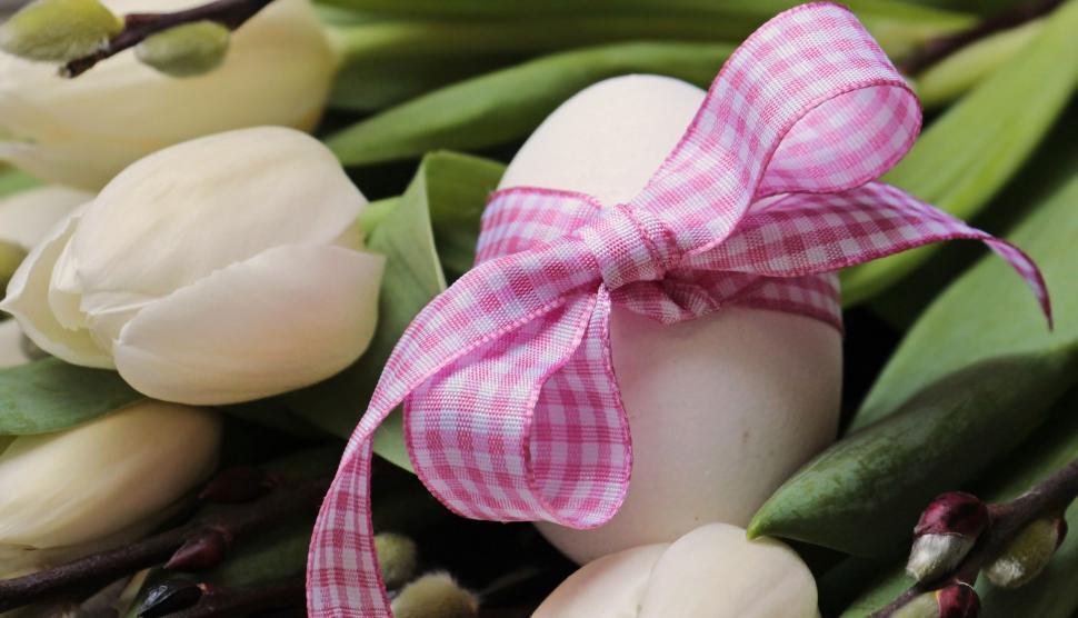 Free Image of Egg in a bow with flowers 