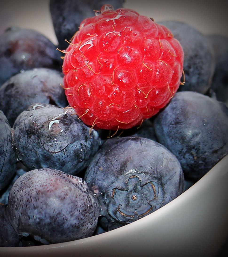Free Image of Red raspberry on top of blueberries 
