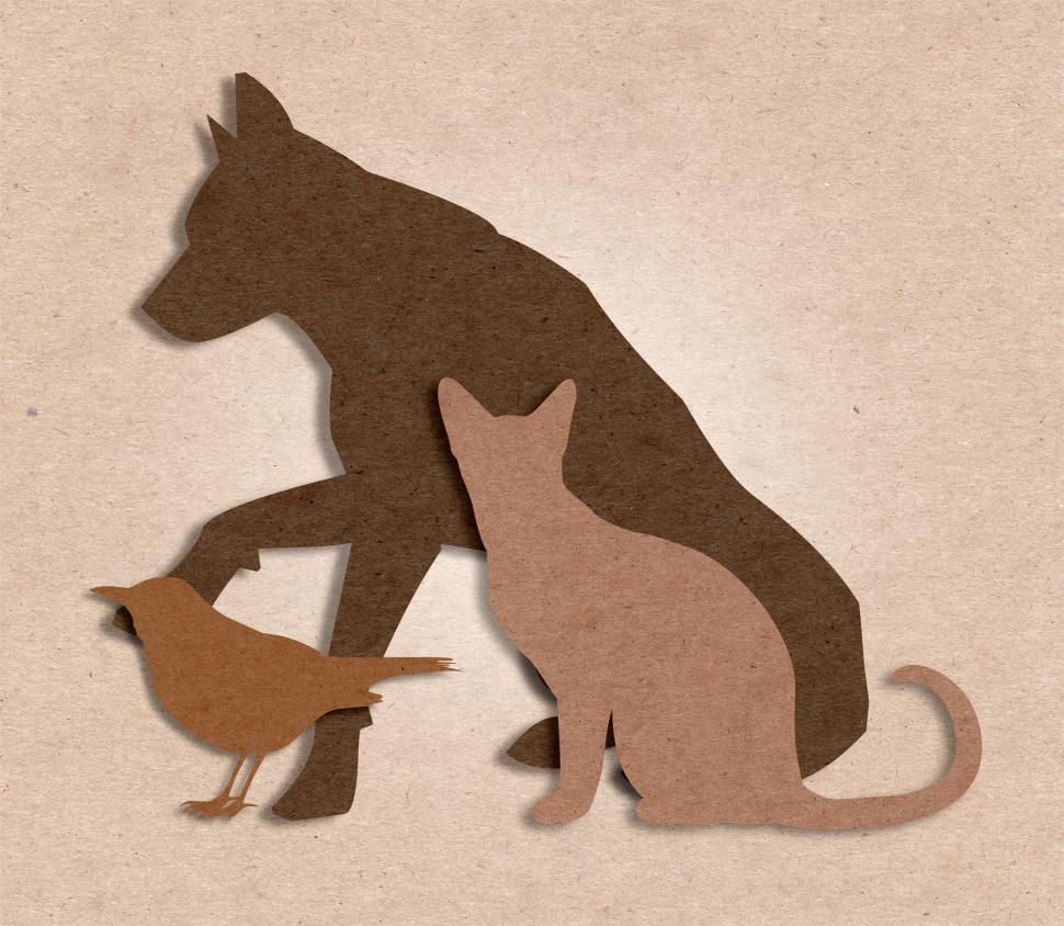 Free Image of Pets - Companion Animals - Dog - Cat - Bird 