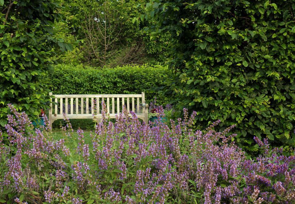 Free Image of Wooden Bench Surrounded By Green 