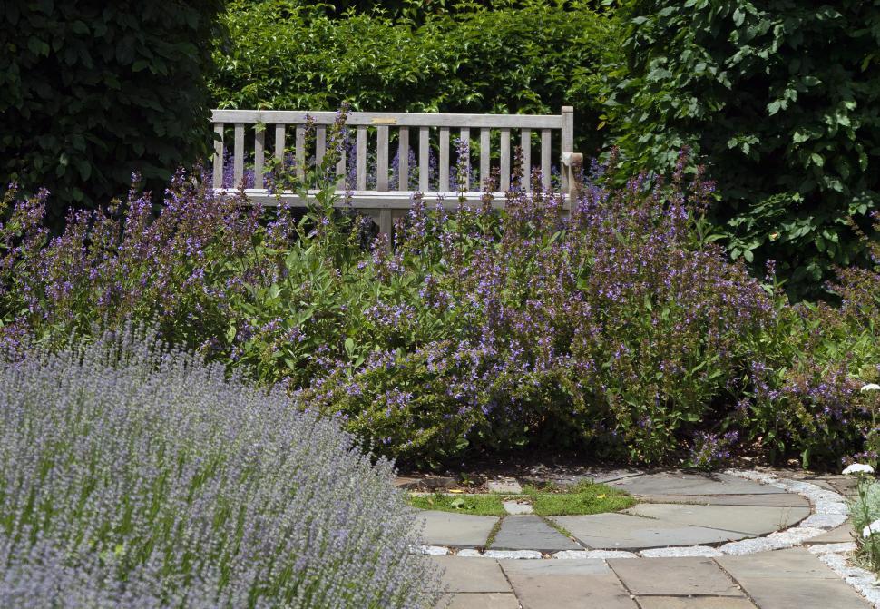 Free Image of Wooden Bench In A Garden 