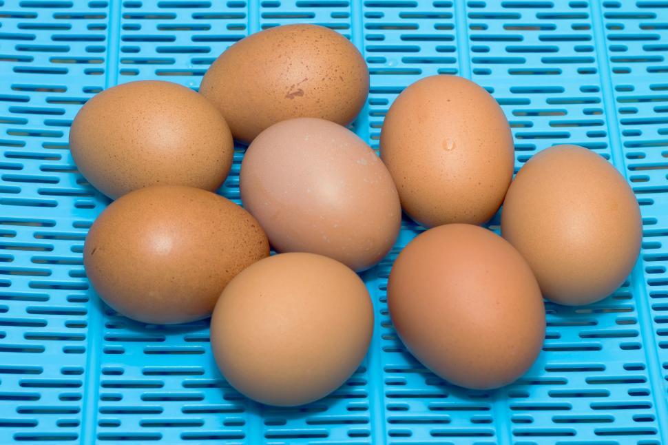 Free Image of Some Eggs On The Table With Blue Base 