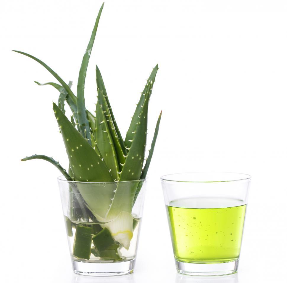 Free Image of Aloe vera on the table with juice extract 