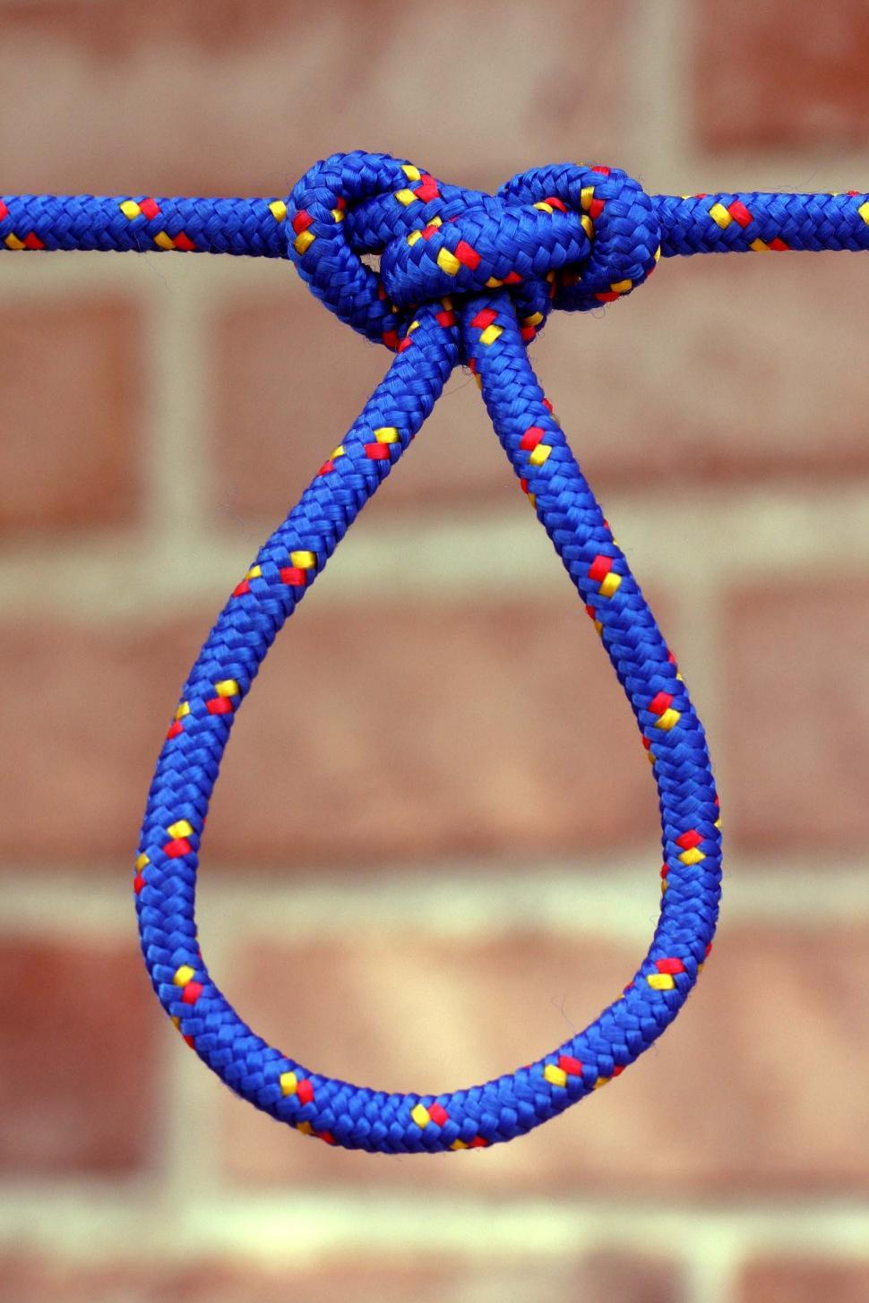 Free Image of Butterfly loop knot 