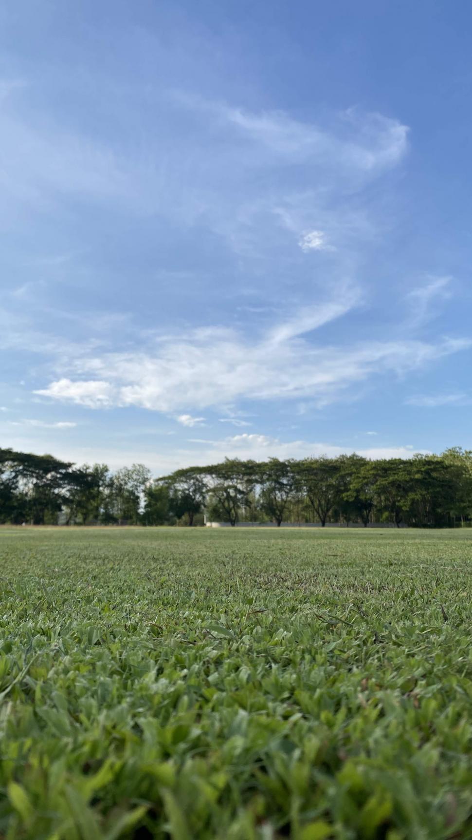 Free Image of Green field and blue sky  