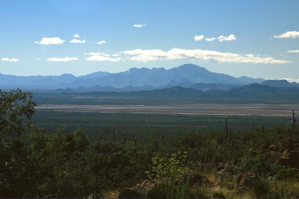 Free Image of Sonoran Desert landscape 