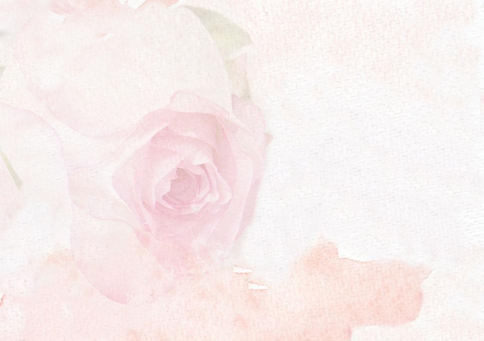 Free Image of Pale rose background 