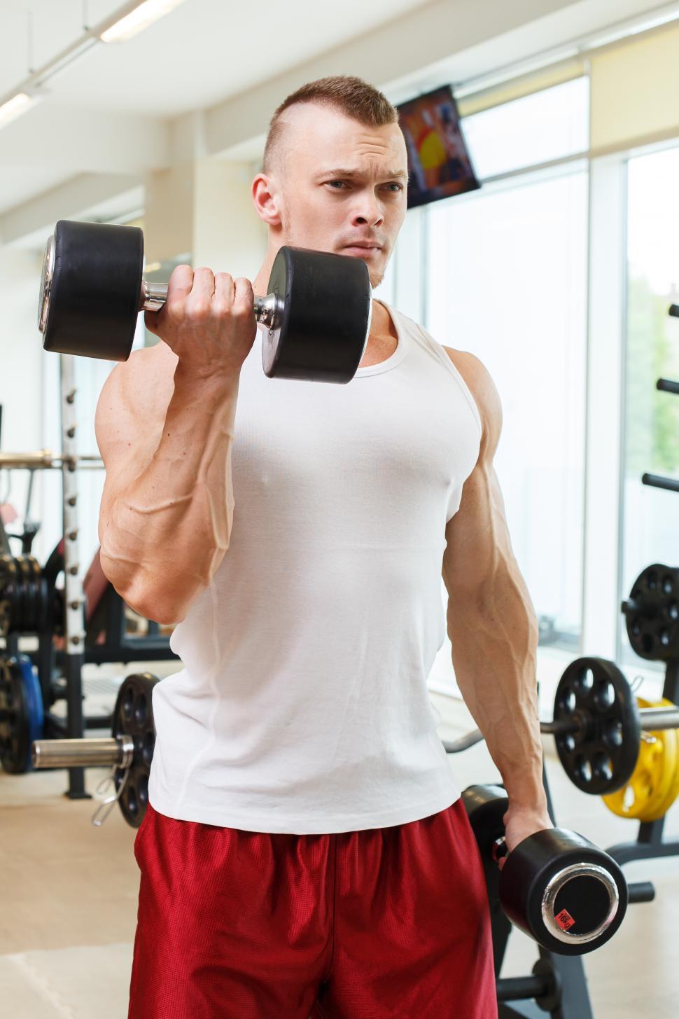 Free Image of Gym. Weightlifter during workout 