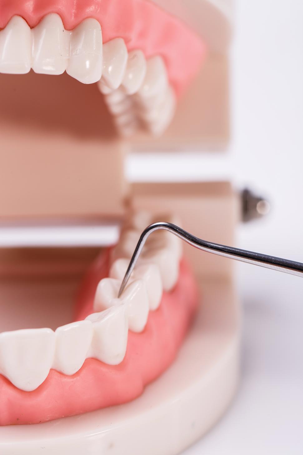 Free Image of White teeth modeled with dental pick 