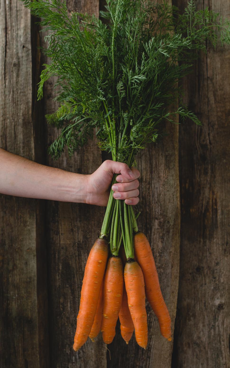 Free Image of Man holding carrots 