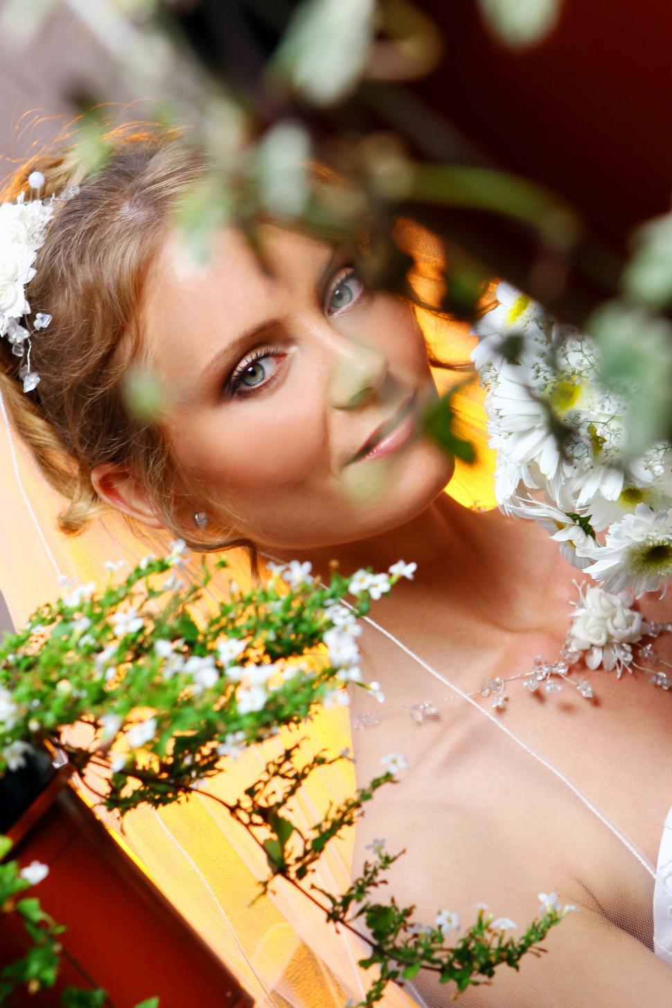 Free Image of bride looking at camera through plants 