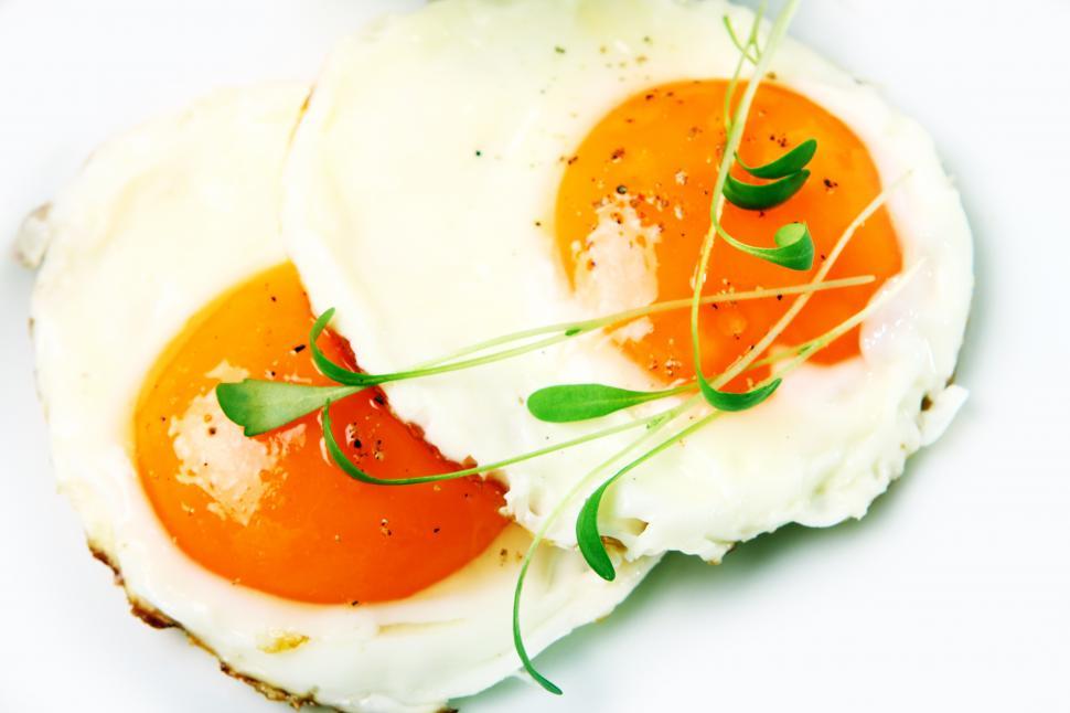 Free Image of Fried eggs 