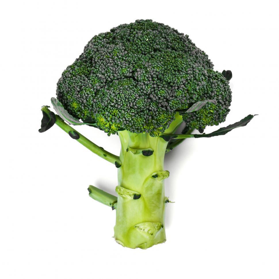 Free Image of Delicious broccoli 