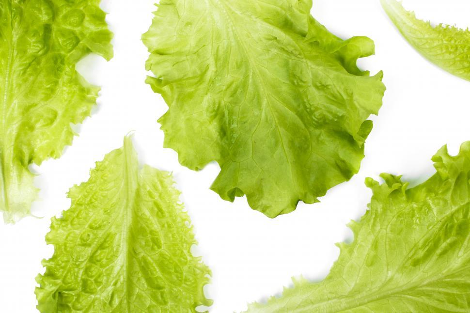 Free Image of Delicious salad - lettuce leaves 