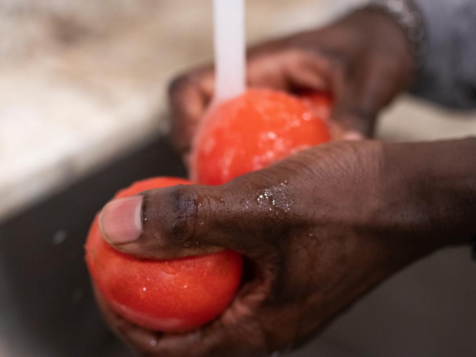 Free Image of Man cleaning tomatoes in kitchen sink 