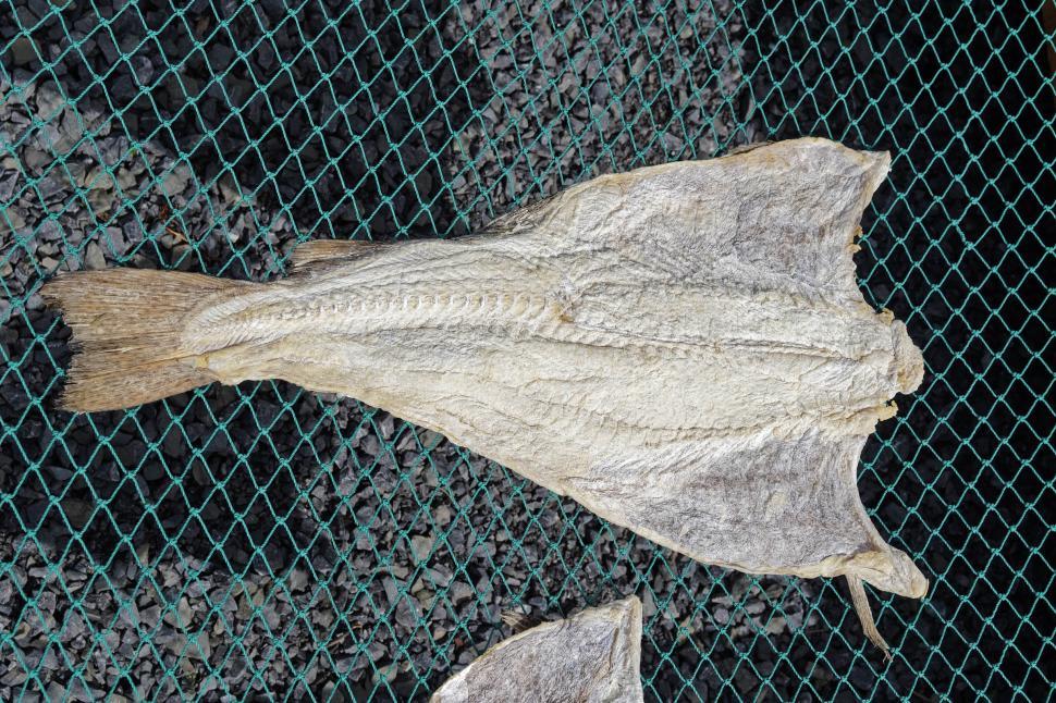 Free Image of Salted Cod  