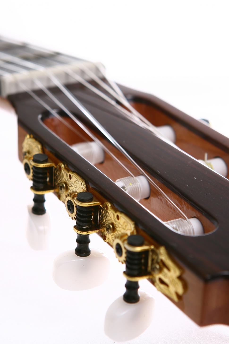 Free Image of Acoustic guitar head and tuners 