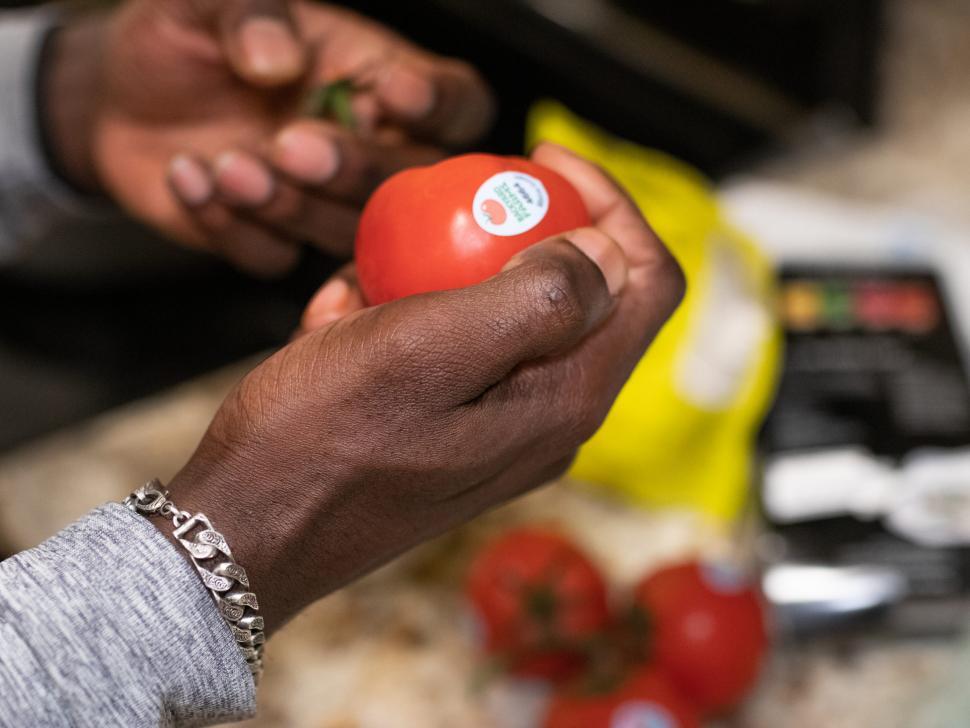 Free Image of Red Tomato in hand 