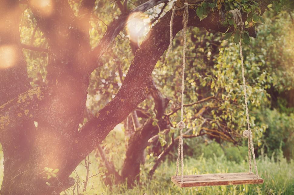 Download Free Stock Photo of Empty swing in the park 