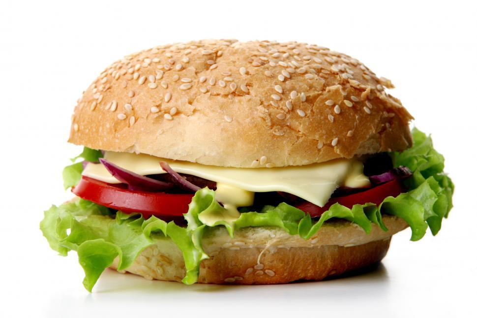 Download Free Stock Photo of A fresh hamburger with lettuce and onion 
