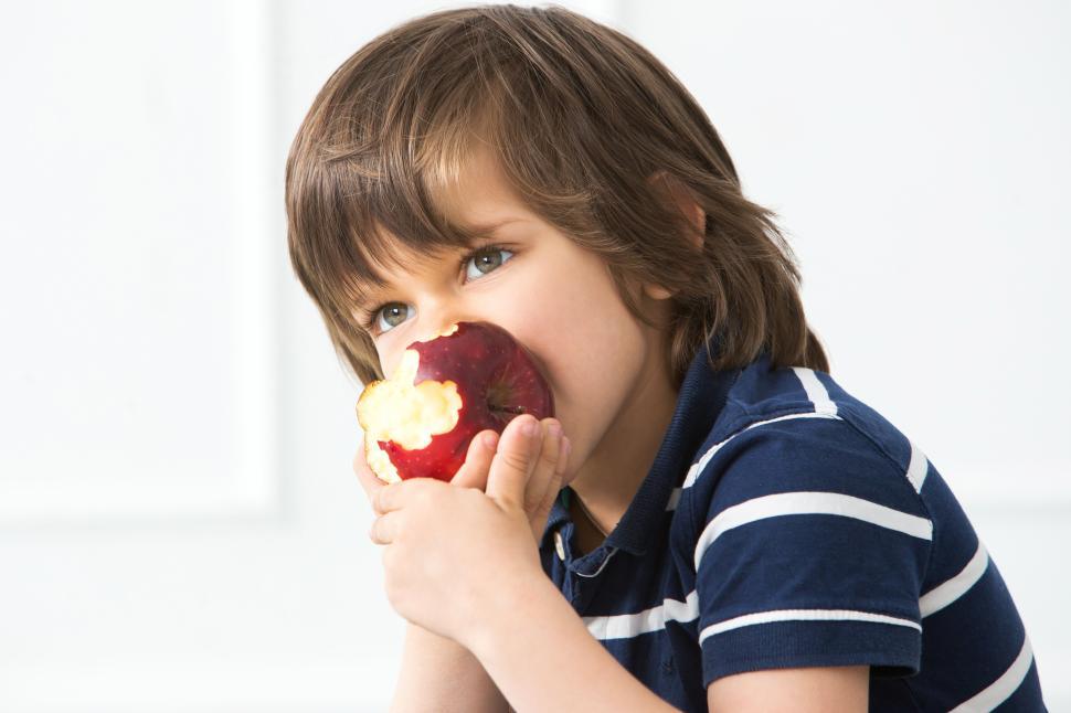 Free Image of Cute kid with big apple 