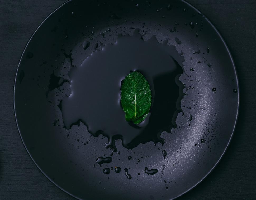 Free Image of One mint leaf in a bowl 