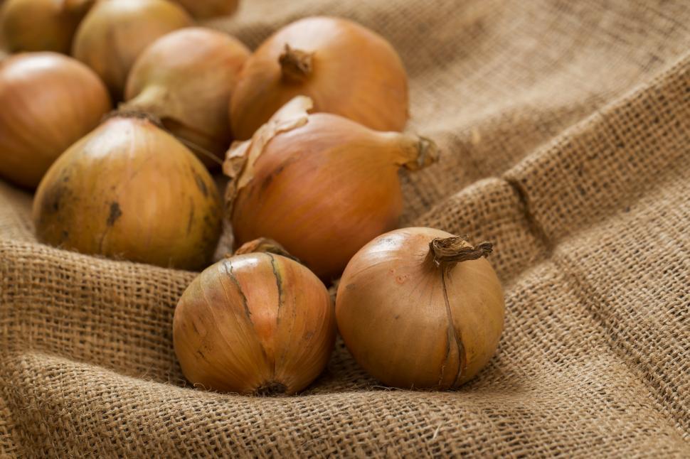Free Image of Onions on burlap surface 